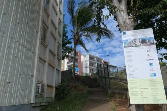 Mal-logement à La Réunion : des associations demandent la remise en location des habitats inoccupés
