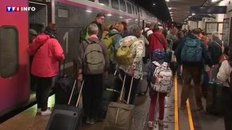 Intempéries en Moselle : 480 passagers d'un TGV pour Paris bloqués toute la nuit à Forbach | TF1 INFO