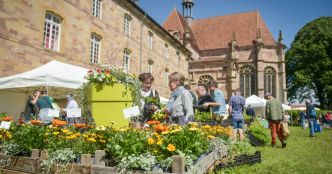 Vosges. Plantes en fête attire les amateurs de jardinage du Grand Est à l'abbaye d'Autrey