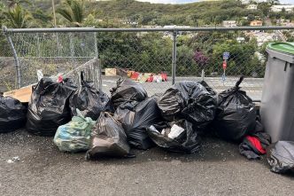 Emeutes en Nouvelle-Calédonie : l'encombrant problème des déchets qui s'accumulent