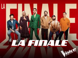 The Voice 2024 : qui sont les cinq finalistes de cette 13e saison ?