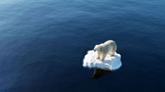 Les fausses bonnes idées pour sauver le climat