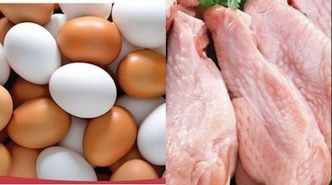 Tunisie: Baisse des prix du poulet et des œufs