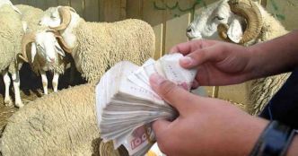 Aïd Al-Adha 2024 : des moutons par facilité pour les employés de ce secteur