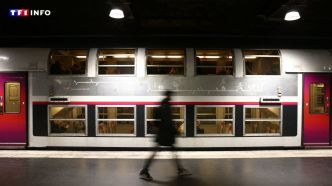 Grève à la SNCF en Ile-de-France : un train sur 5 prévu mardi sur certaines lignes de RER  | TF1 INFO