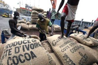 En Côte d'Ivoire, les libanais victimes de la guerre du cacao