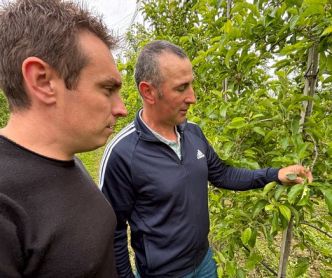 "J'ai perdu 40 à 50 % de ma récolte" : des vergers de pomme fortement impactés par le gel en Corrèze