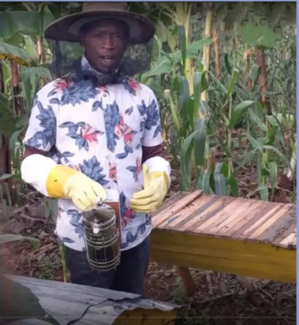 Comment les abeilles et les agriculteurs peuvent exploiter la merveille de la pollinisation pour une sécurité alimentaire durable