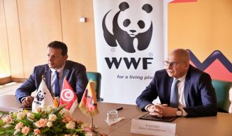 WWF Afrique du nord et Attijari bank Tunisie signent un accord de partenariat stratégique