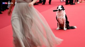 EN IMAGES - Meryl Streep, Omar Sy, Messi... Notre best of du tapis rouge de Cannes 2024 | TF1 INFO