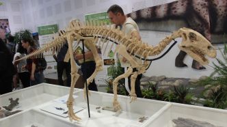 Plus de 3 000 visiteurs voyagent au temps des dinosaures de Provence à Vitrolles