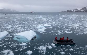 Antarctique : Le record de fonte de la banquise très probablement dû au réchauffement climatique