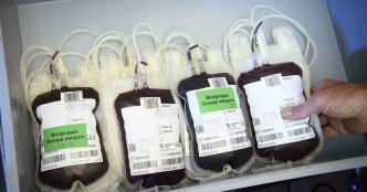 Les autorités britanniques accusées de dissimulation dans l'affaire du sang contaminé