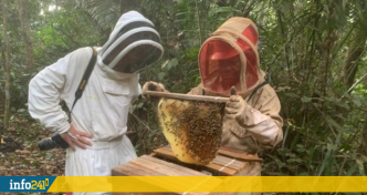 L'ONG Conservation Justice résolument engagée à la protection des abeilles au Gabon