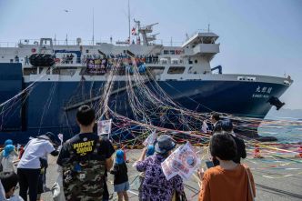 Le nouveau navire baleinier japonais lance sa première campagne de chasse