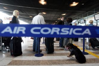AVION : l'incroyable périple des passagers d'un Airbus Ajaccio-Paris, ils terminent le voyage en bus depuis Lyon