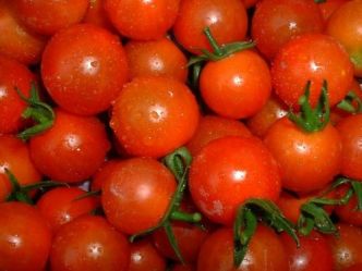 Les agriculteurs appellent à la révision du prix de la tomate