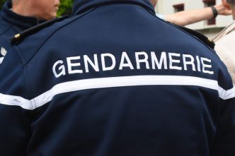 Disparition inquiétante en Moselle : la gendarmerie à la recherche d'une octogénaire