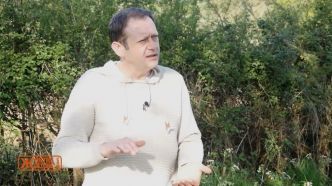 Wilfrid Chevalier – Permaculture : du modèle conventionnel au modèle naturel