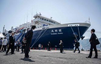 Japon : Un navire-usine de 100 m de long débute sa première campagne de chasse aux baleines