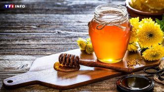 Voici pourquoi vous devriez manger du miel plus souvent | TF1 INFO