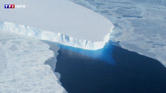 Antarctique : le "glacier de l'apocalypse" encore plus vulnérable qu'on ne le pensait ? | TF1 INFO