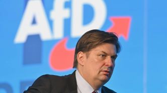 Le Rassemblement national français ne siégera plus avec l'allemande AFD