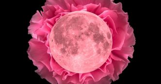 Pleine lune fleurie de mai 2024 : des opportunités romantiques et financières rêvées attendent ces signes