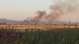 Jendouba : Un incendie détruit trois hectares de blé