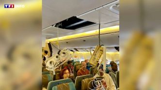 VIDÉO - "Les assiettes traversaient la cabine" : le témoignage d'un passager du vol Londres-Singapour, pris dans de fortes turbulences | TF1 INFO