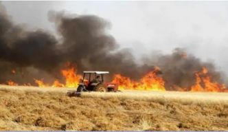 Incendie à Jendouba : 3 hectares de champs de blé détruits !