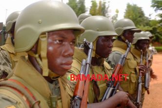 Neutralisation de combattants de la Katibat Macina par les FAMa dans la région de Ségou
