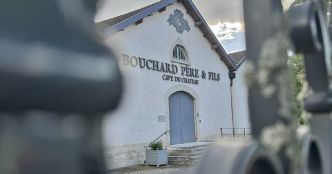 Beaune. Rachetée par François Pinault, la maison de vin Bouchard père & fils n'en sortira pas indemne