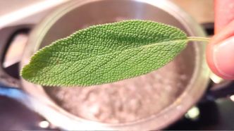 Pourquoi un homme devrait-il mourir alors que cette plante pousse dans son jardin ?