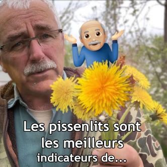 Les pissenlits sont les meilleurs indicateurs de…