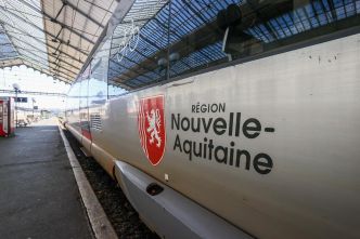 Le trafic des TER perturbé sur les lignes Dax-Pau et Bayonne-Pau après un vol de câbles près de Puyoô