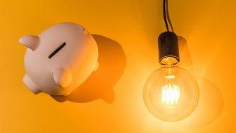 Actualité : Prix de l'électricité : les heures creuses pourraient changer pour des millions de français