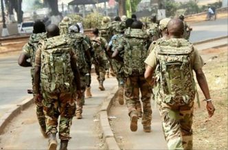 Centrafrique : les Faca font leur retour à Zemio après près dune décennie dabsence (Autre presse)