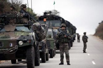 Opération militaire conjointe Centrafrique-Tchad dans le nord de la RCA : ce que nous savons (Autre presse)