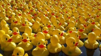 Fête de la cerise, "duck race", festival de la bière... que faire en Provence ce week-end des 31 mai, 1er et 2 juin ?