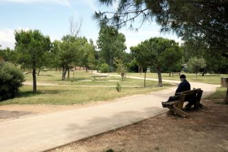 "Ce n'est pas la peine qu'on se dispute": dans ce quartier d'Antibes, le projet de jardins partagés est abandonné