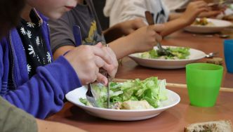 La Ville de Marseille veut reprendre la main sur ses cantines scolaires en lançant une douzaine de cantines de proximité