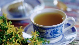 Millepertuis et phytothérapie