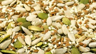 Conseils alimentation : Top 5 des graines bio