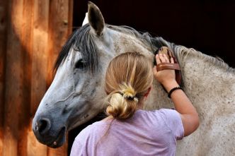 Boehringer Ingelheim informe et sensibilise en matière de santé du cheval