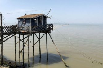 Estuaire de la Gironde : idées de sorties et balades dans un environnement exceptionnel