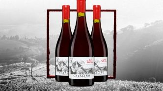 Le vin de la semaine : un rouge léger du bout des Amériques