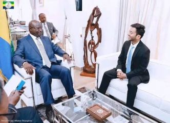 Renforcement des Relations Diplomatiques entre le Gabon et l'Inde