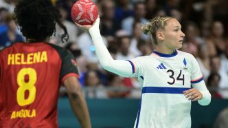 "Un véritable crève-cœur": quand la crise de l'immobilier fait disparaître un club de handball