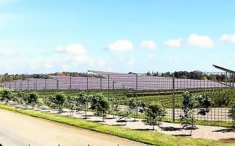 Aux portes de Rennes, un méga parc photovoltaïque va voir le jour
